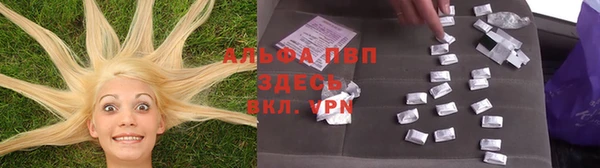 МДПВ Нея