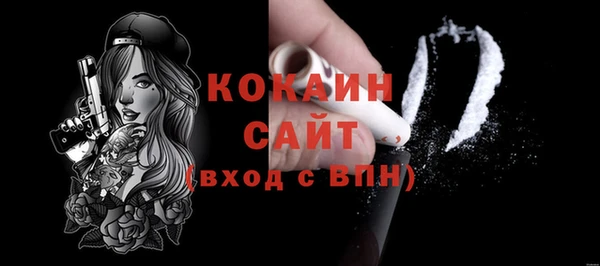 МДПВ Нея
