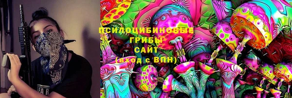 крисы Нефтегорск