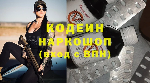 МДПВ Нея