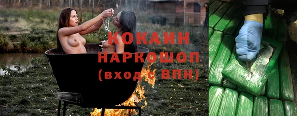 МДПВ Нея