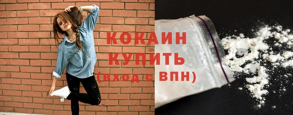 МДПВ Нея