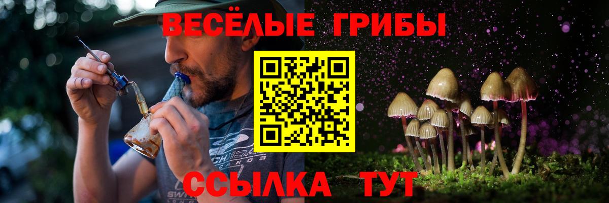 Благовещенск  Псилоцибиновые грибы GOLDEN TEACHER  Вход с VPN  Псилоцибиновые грибы мухоморы 